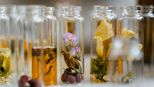 The scent of Africa