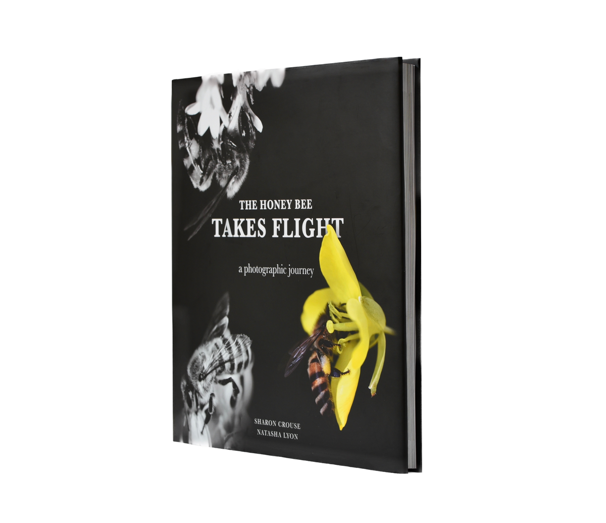 Book - The Honey Bee Takes Flight by Sharon Couse & Natasha Lyon