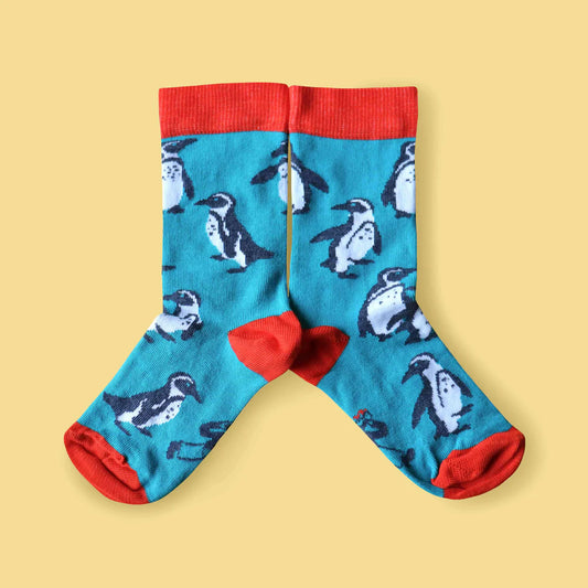 Kids 12-3 Penguin socks