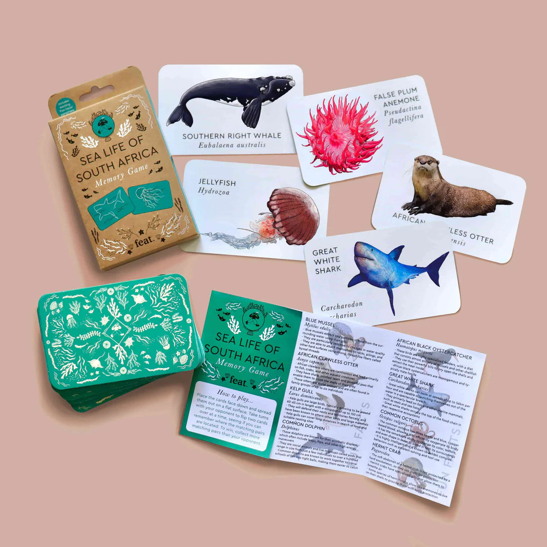 Sea life of South Africa Memory Game