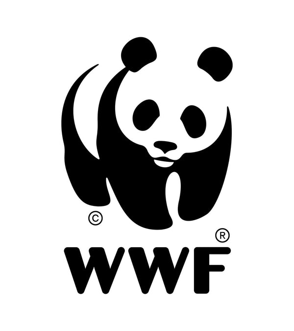 wwfsa