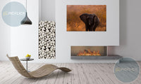 Elephant and leaves