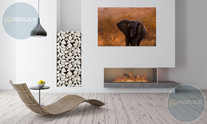 Elephant and leaves