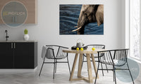 Elephant by the waterhole