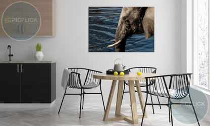 Elephant by the waterhole
