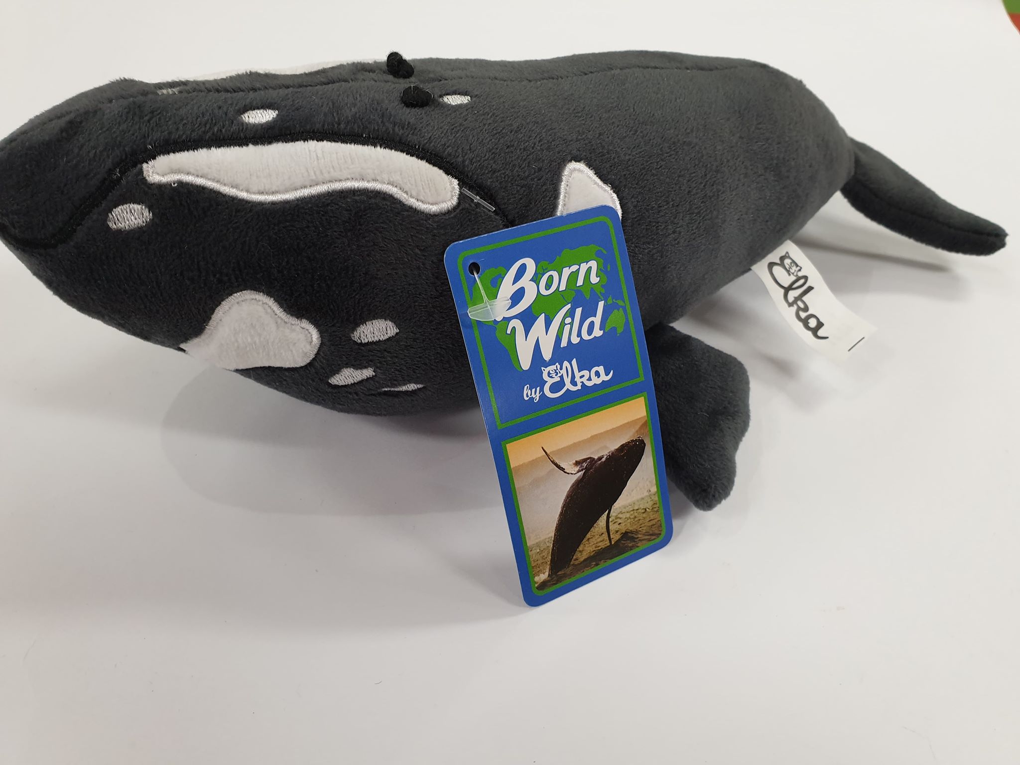 Plush Toy Southern Right Whale 30cm