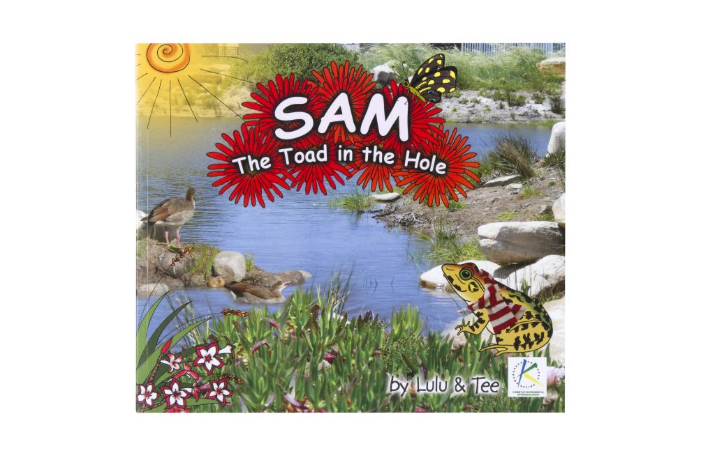 Children's Book - Toad in the Hole